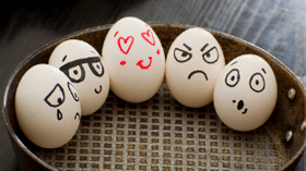 How internal decisions hurt customers | Would you risk your job for customers? | HPZ Marketing | Image of eggs with various faces in a basket